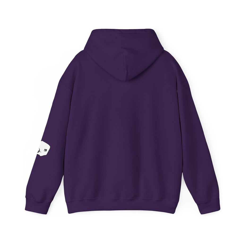 I Survived Loot Box 13 Hoodie - Colors