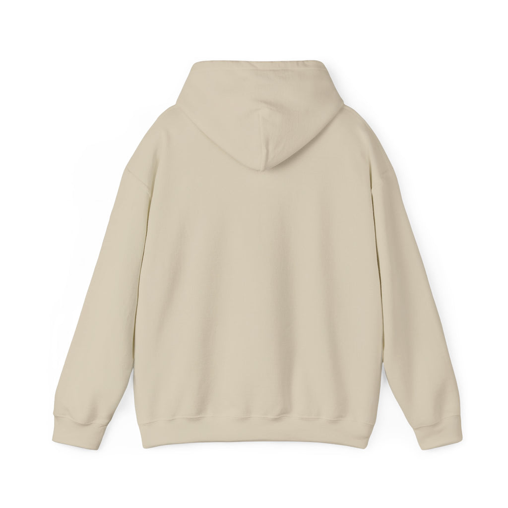 I Like My Ship Captains Morally Grey Hoodie