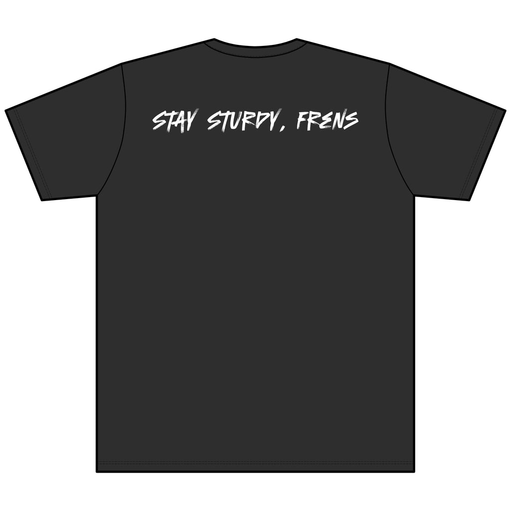 Stay Sturdy, Frens Crest Heather V-Neck Tee