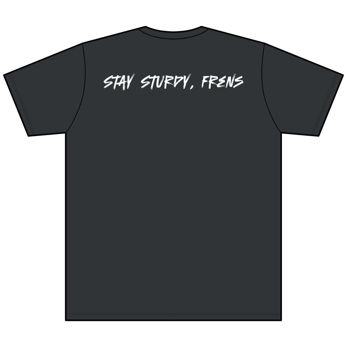 Stay Sturdy, Frens Crest Heather V-Neck Tee