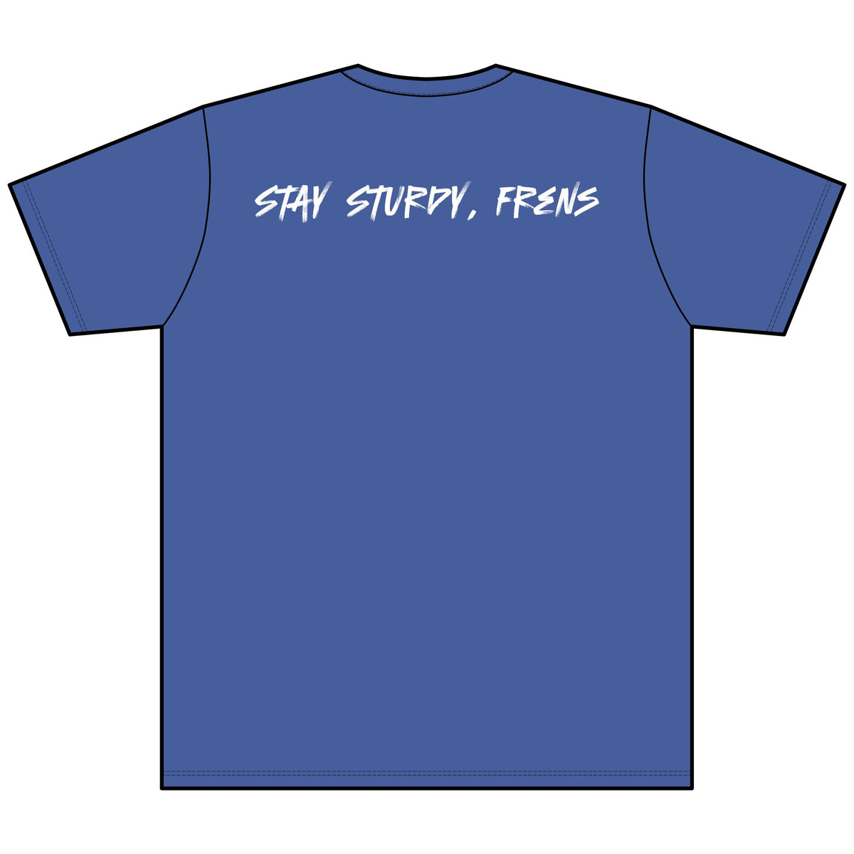 Stay Sturdy, Frens Crest Heather V-Neck Tee