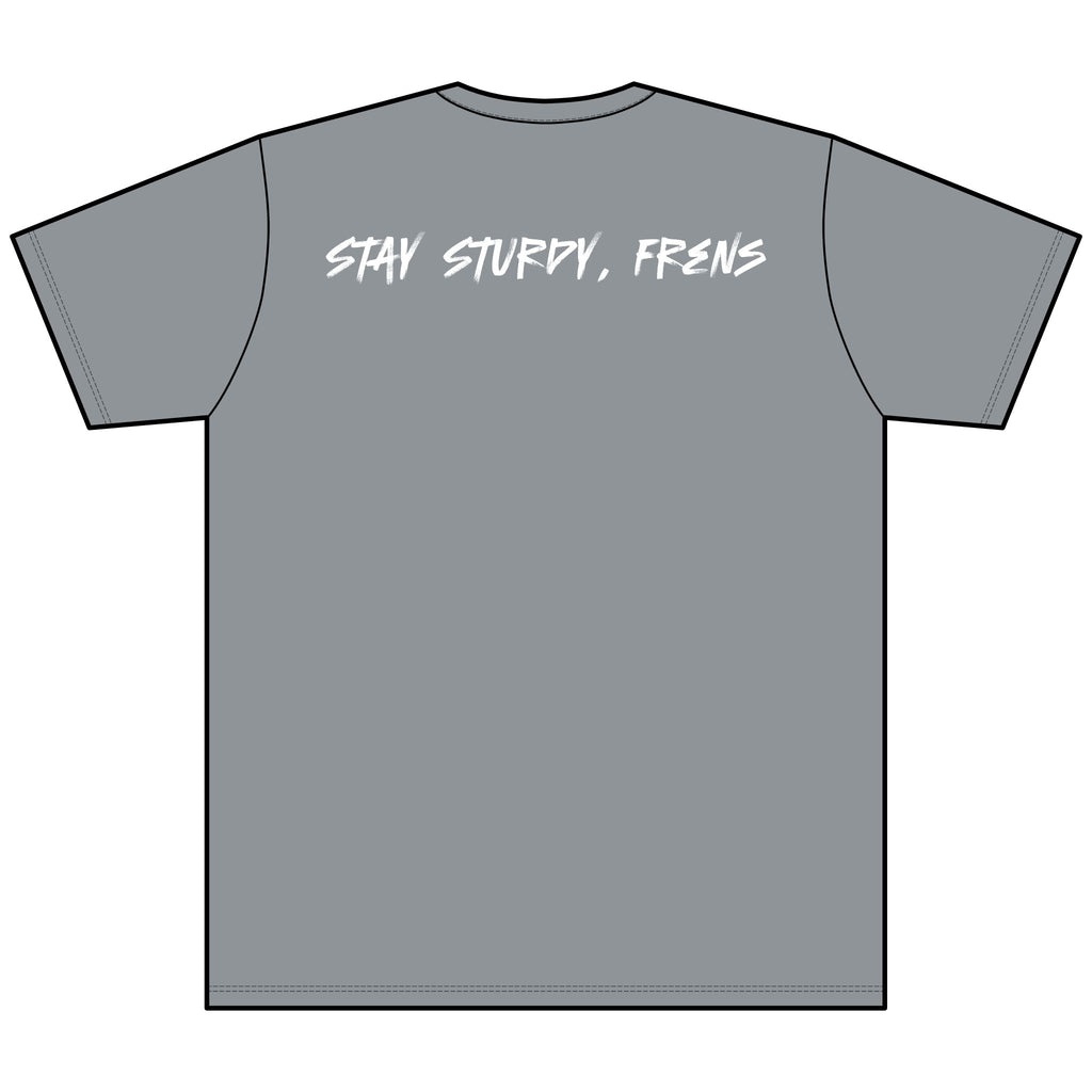 Stay Sturdy, Frens Crest Heather V-Neck Tee