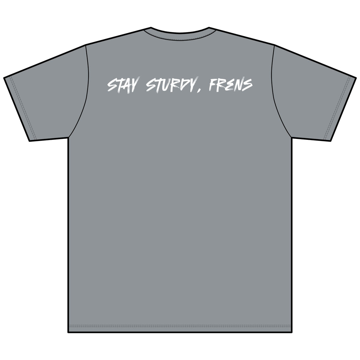 Stay Sturdy, Frens Crest Heather V-Neck Tee