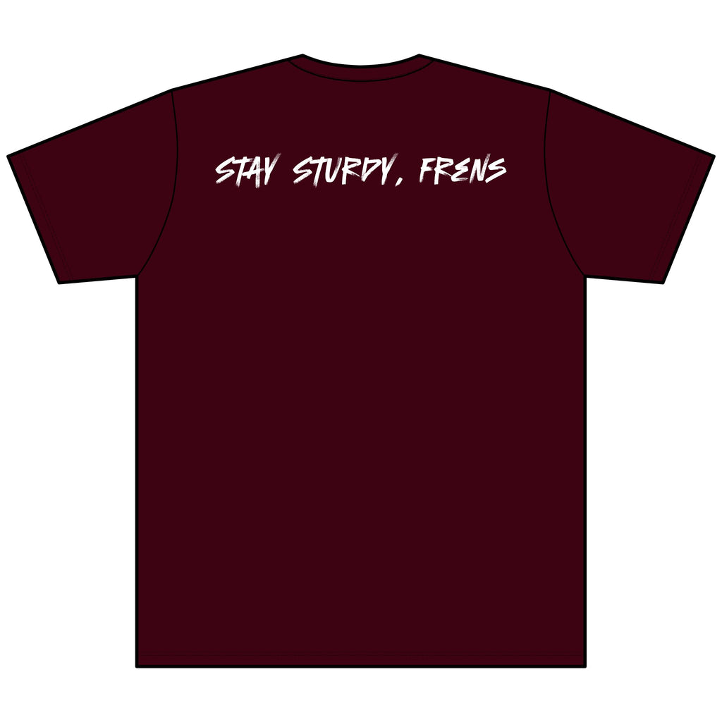 Stay Sturdy, Frens Crest Heather V-Neck Tee