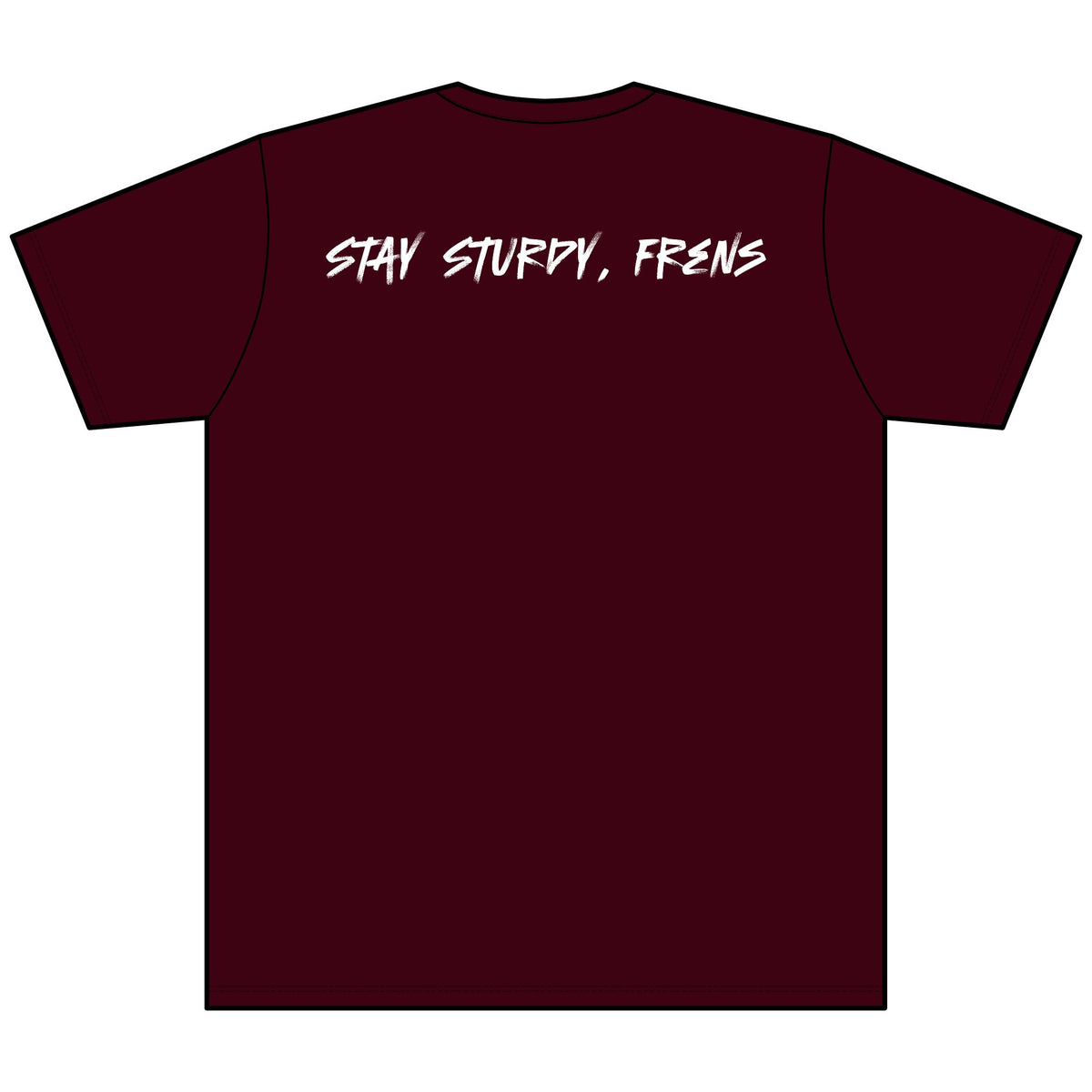 Stay Sturdy, Frens Crest Heather V-Neck Tee