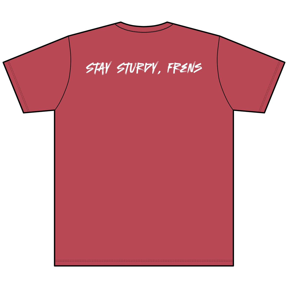 Stay Sturdy, Frens Crest Heather V-Neck Tee