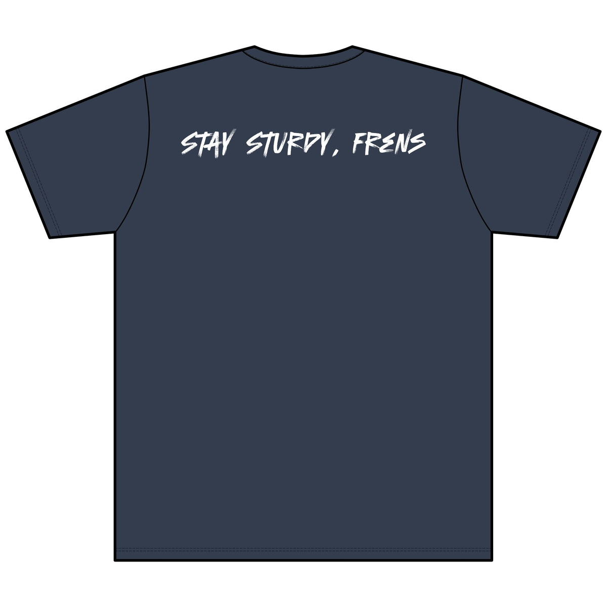 Stay Sturdy, Frens Crest Heather V-Neck Tee
