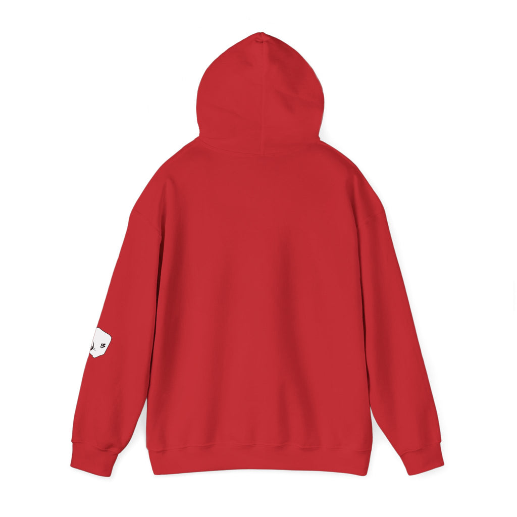 I Survived Loot Box 13 Hoodie - Colors