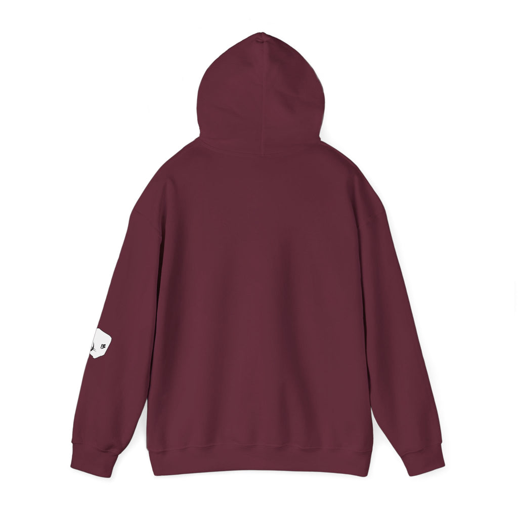 I Survived Loot Box 13 Hoodie