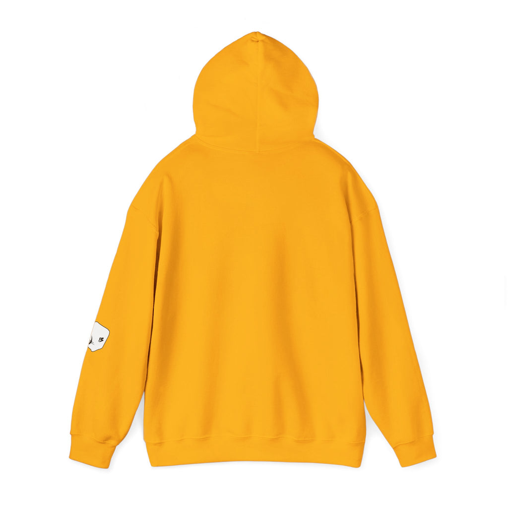 I Survived Loot Box 13 Hoodie - Colors
