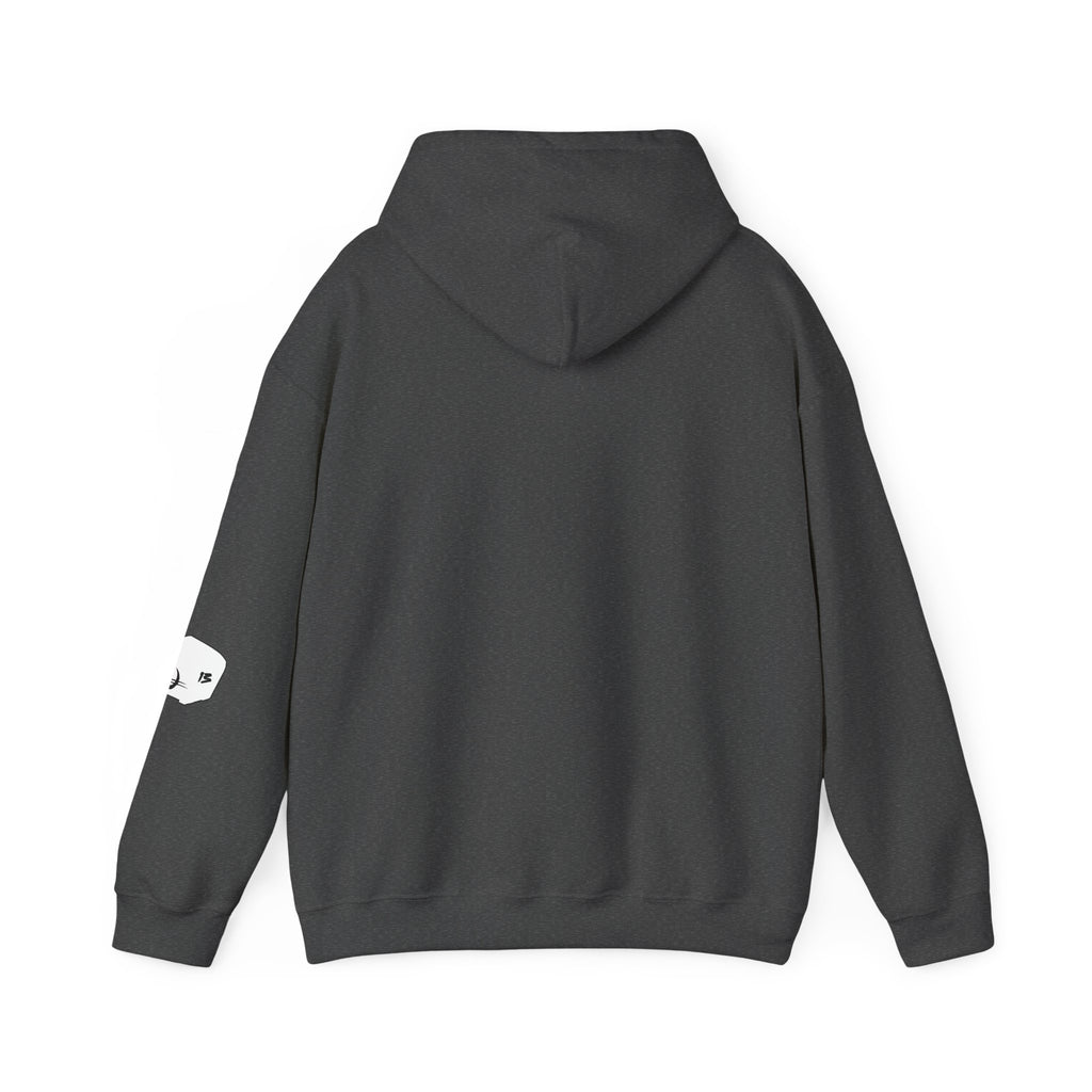 I Survived Loot Box 13 Hoodie