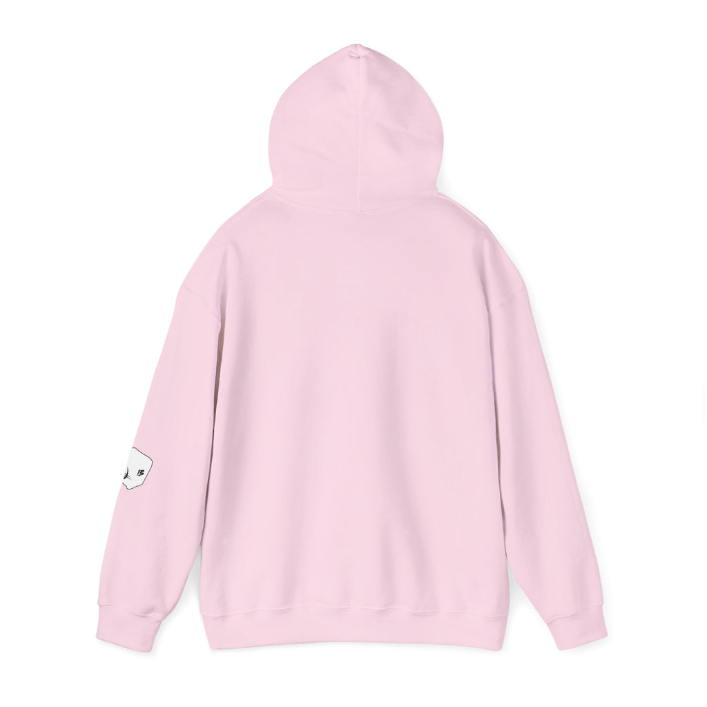 I Survived Loot Box 13 Hoodie