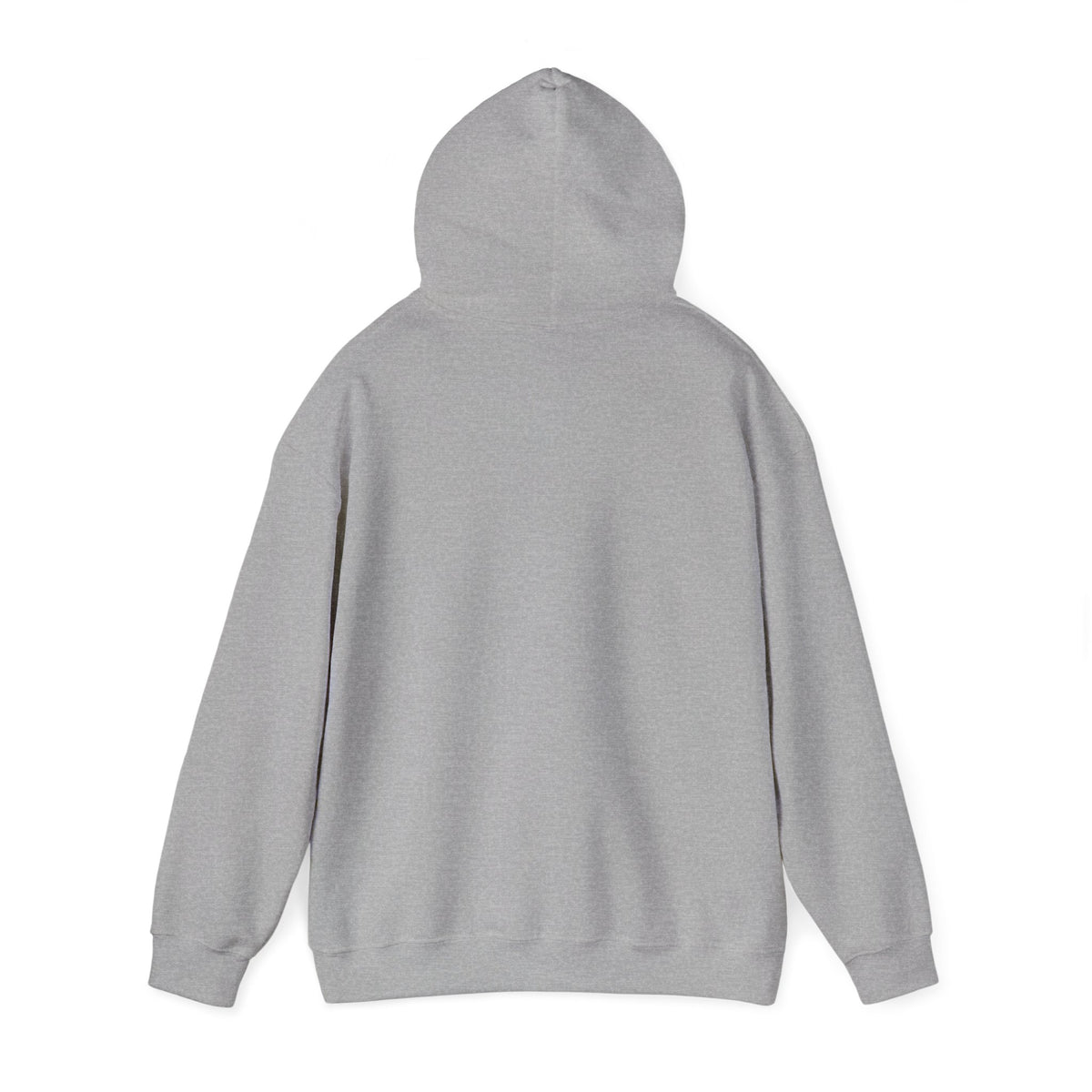 I Like My Ship Captains Morally Grey Hoodie