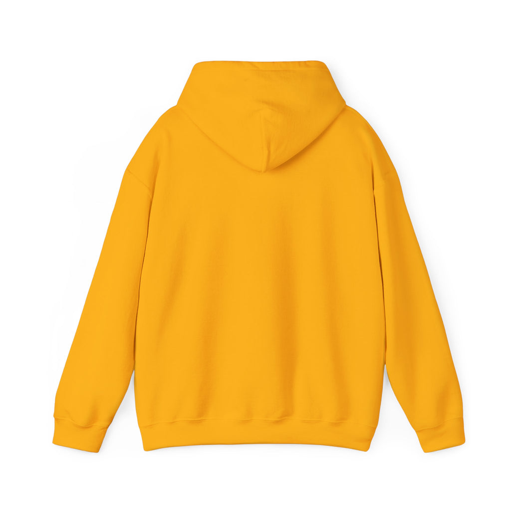 I Like My Ship Captains Morally Grey Hoodie - Colors