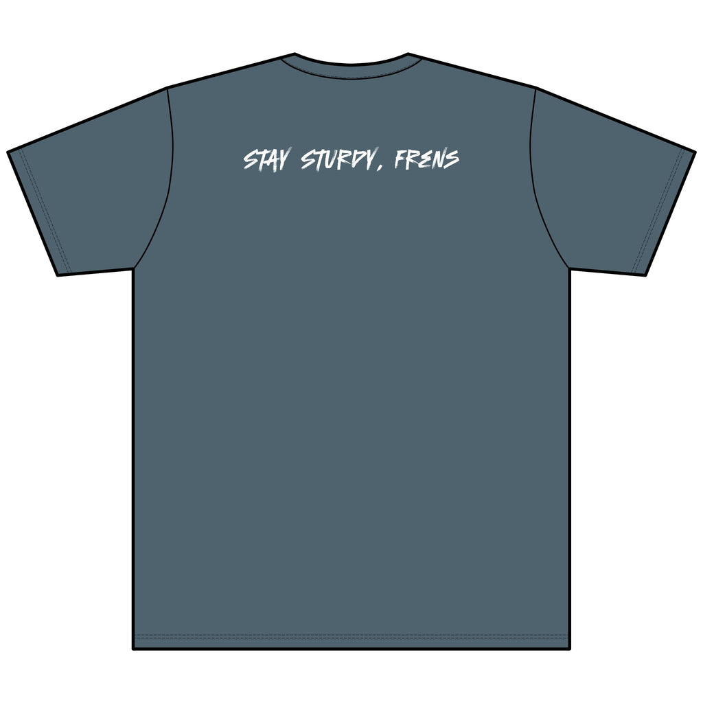 Stay Sturdy, Frens Crest Heather V-Neck Tee
