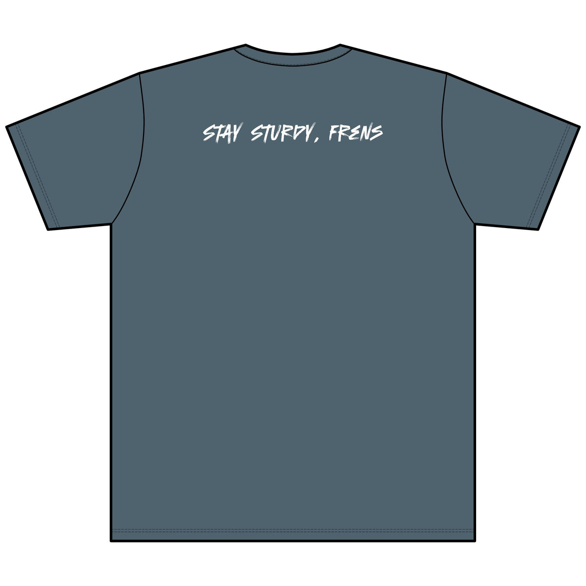 Stay Sturdy, Frens Crest Heather V-Neck Tee