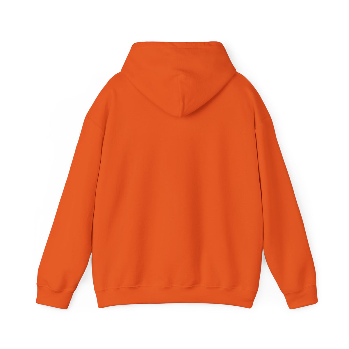 I Like My Ship Captains Morally Grey Hoodie - Colors