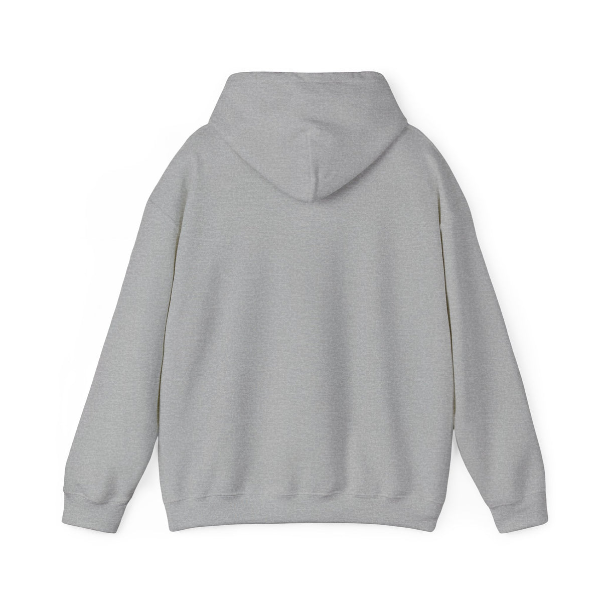 I Like My Ship Captains Morally Grey Hoodie