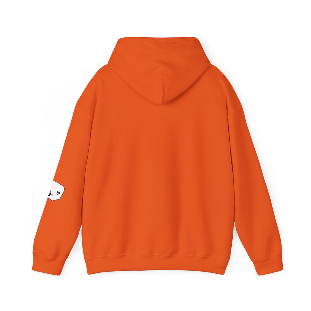 I Survived Loot Box 13 Hoodie - Colors