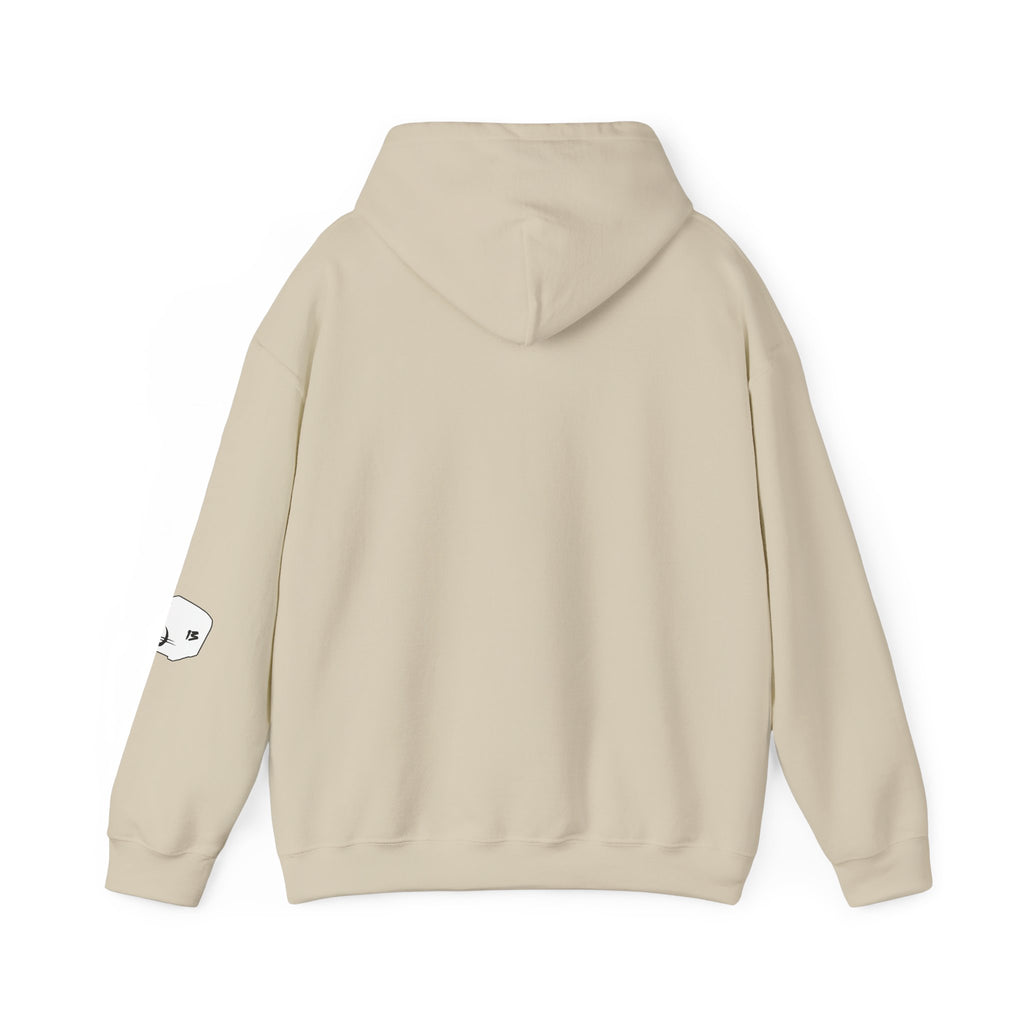 I Survived Loot Box 13 Hoodie
