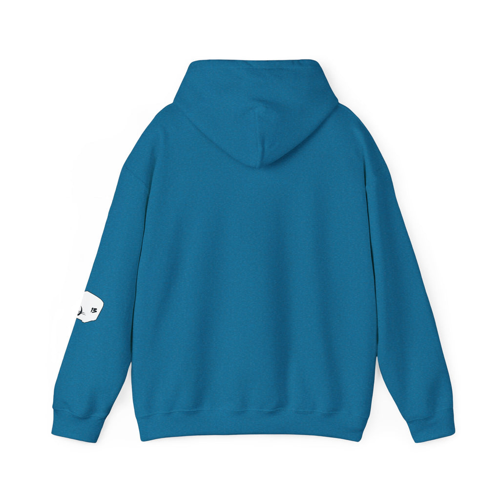 I Survived Loot Box 13 Hoodie - Colors