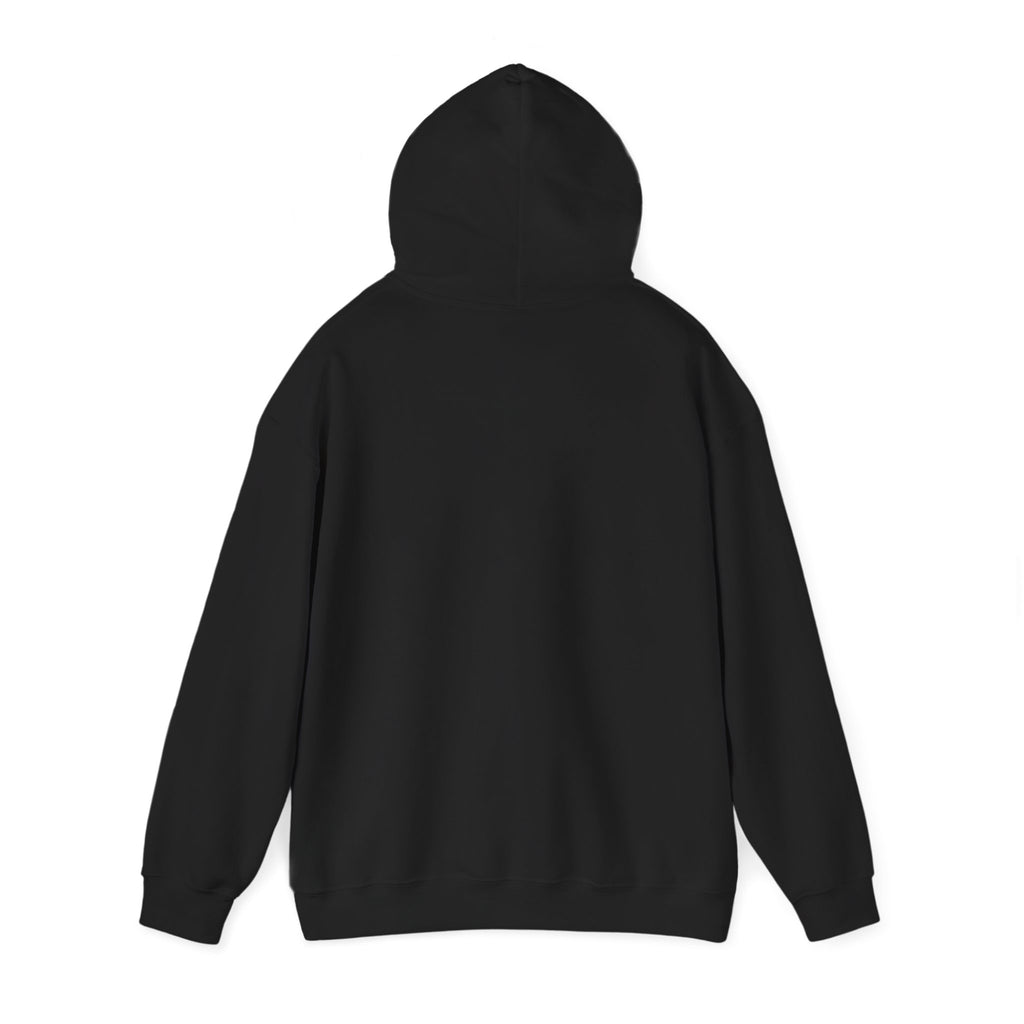 I Like My Ship Captains Morally Grey Hoodie