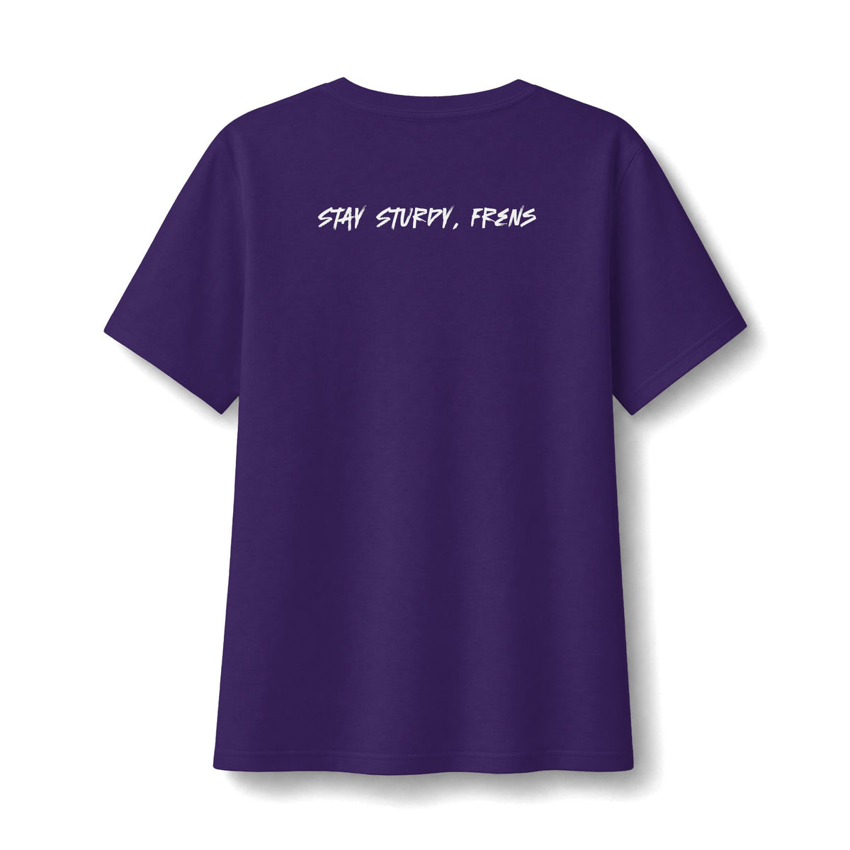 Stay Sturdy, Frens Crest Women's Relaxed V-Neck Tee