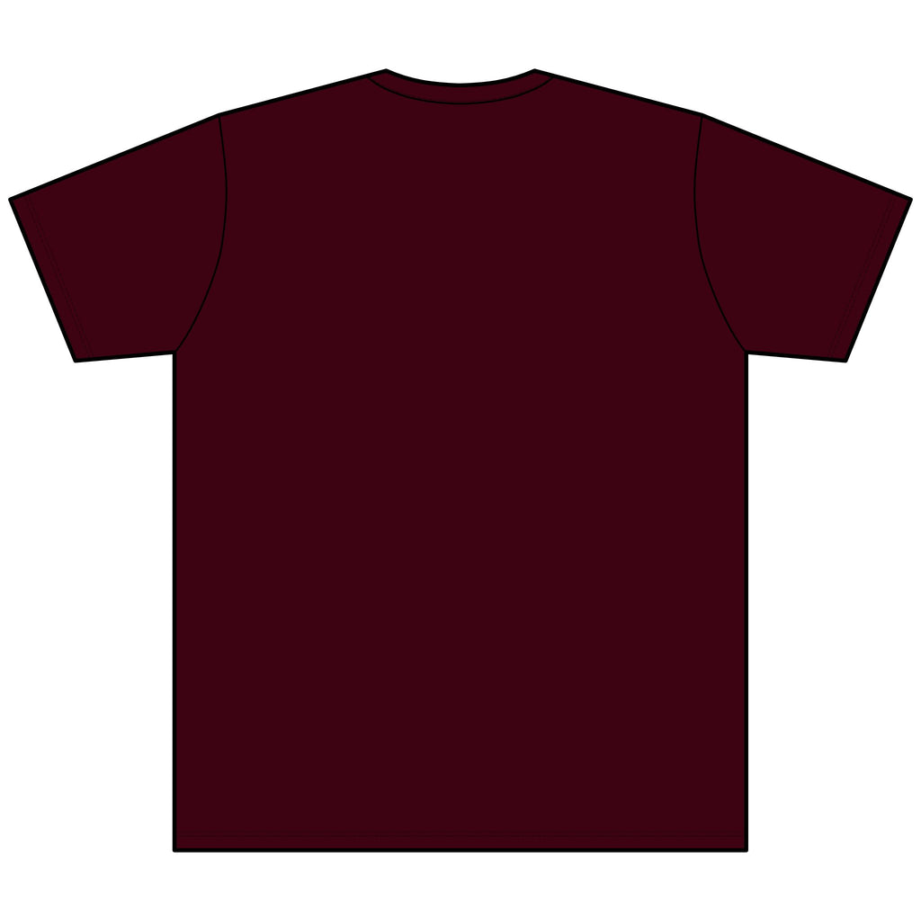 The Crew Heather V-Neck Tee