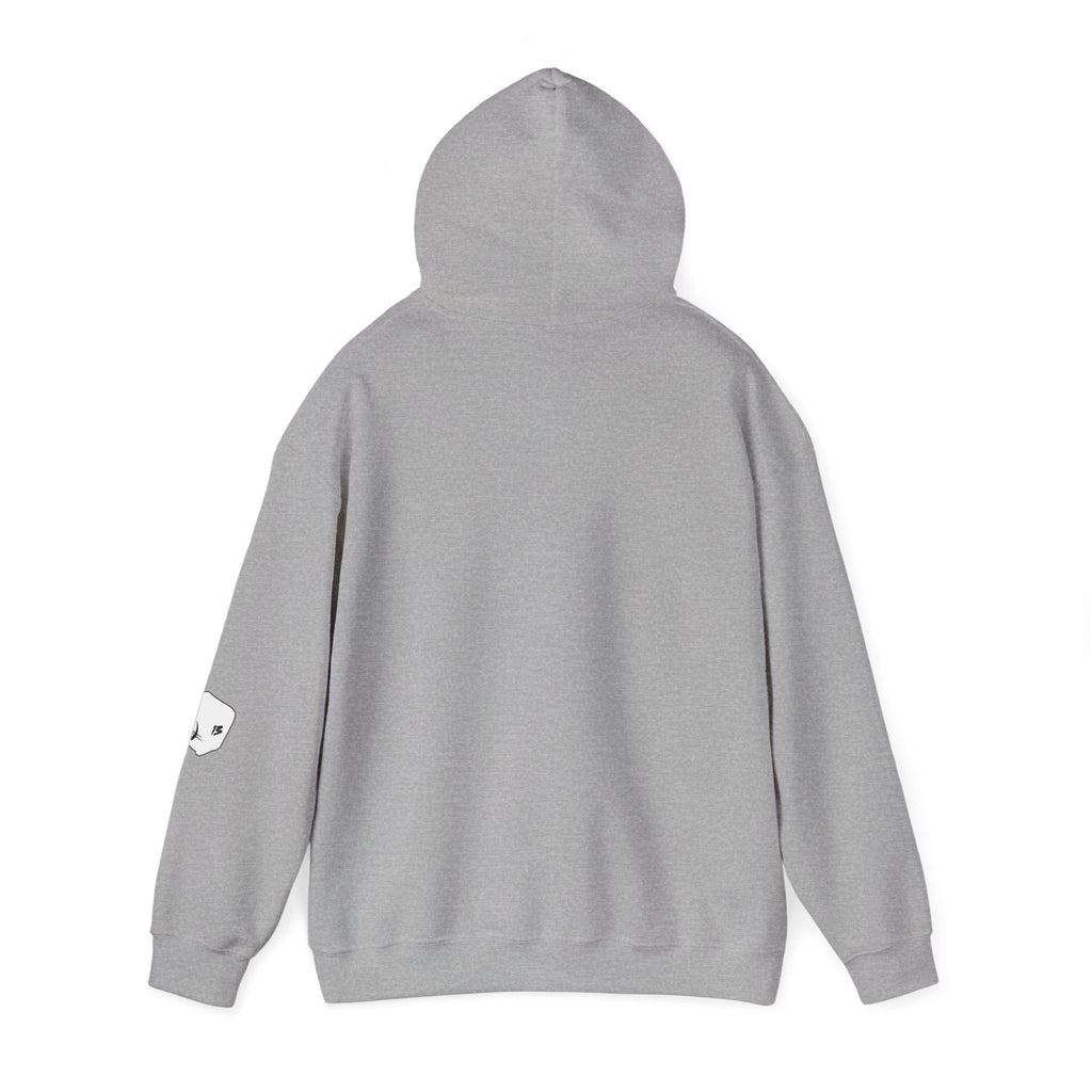 I Survived Loot Box 13 Hoodie