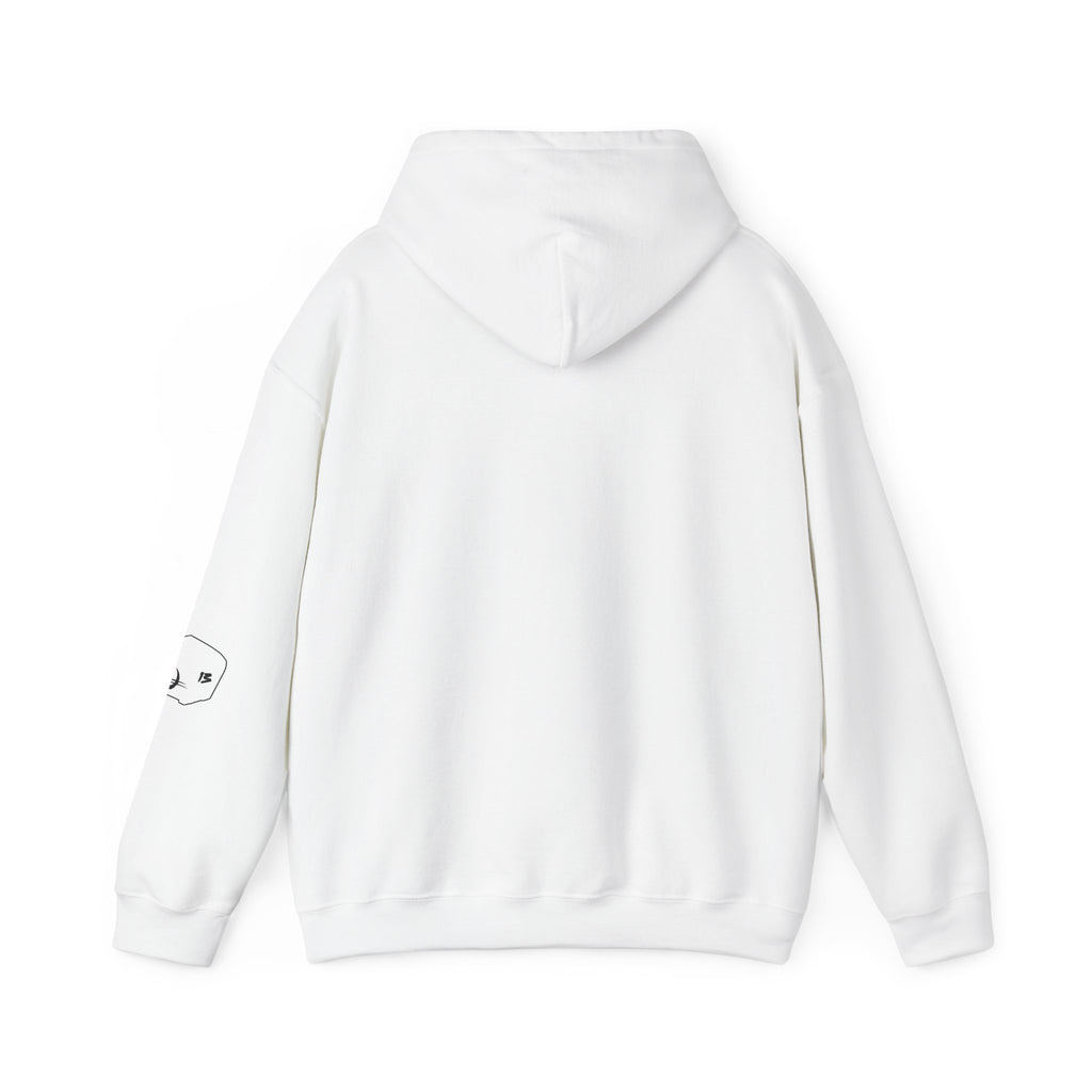 I Survived Loot Box 13 Hoodie