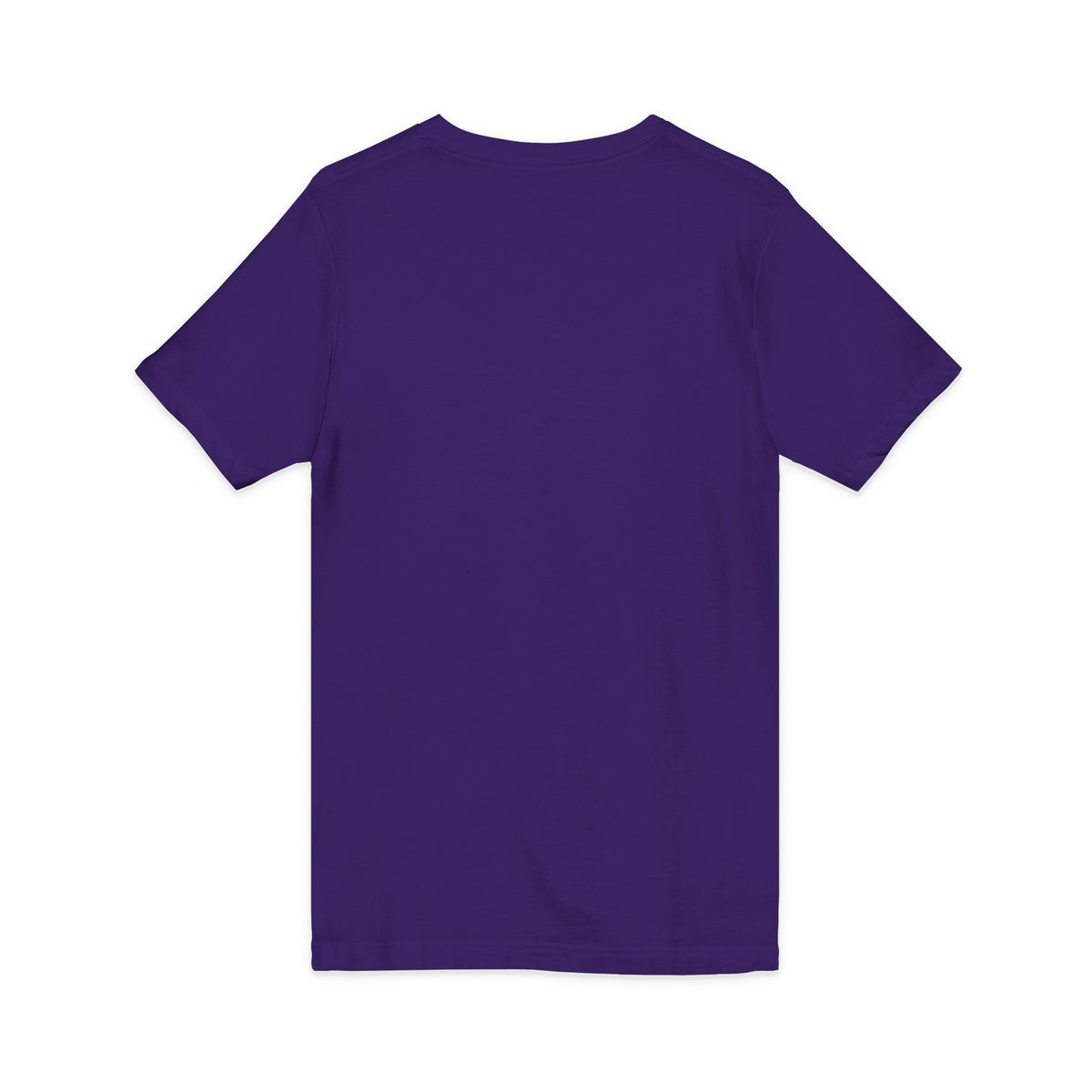 I Survived Loot Box 13 V-Neck Tee