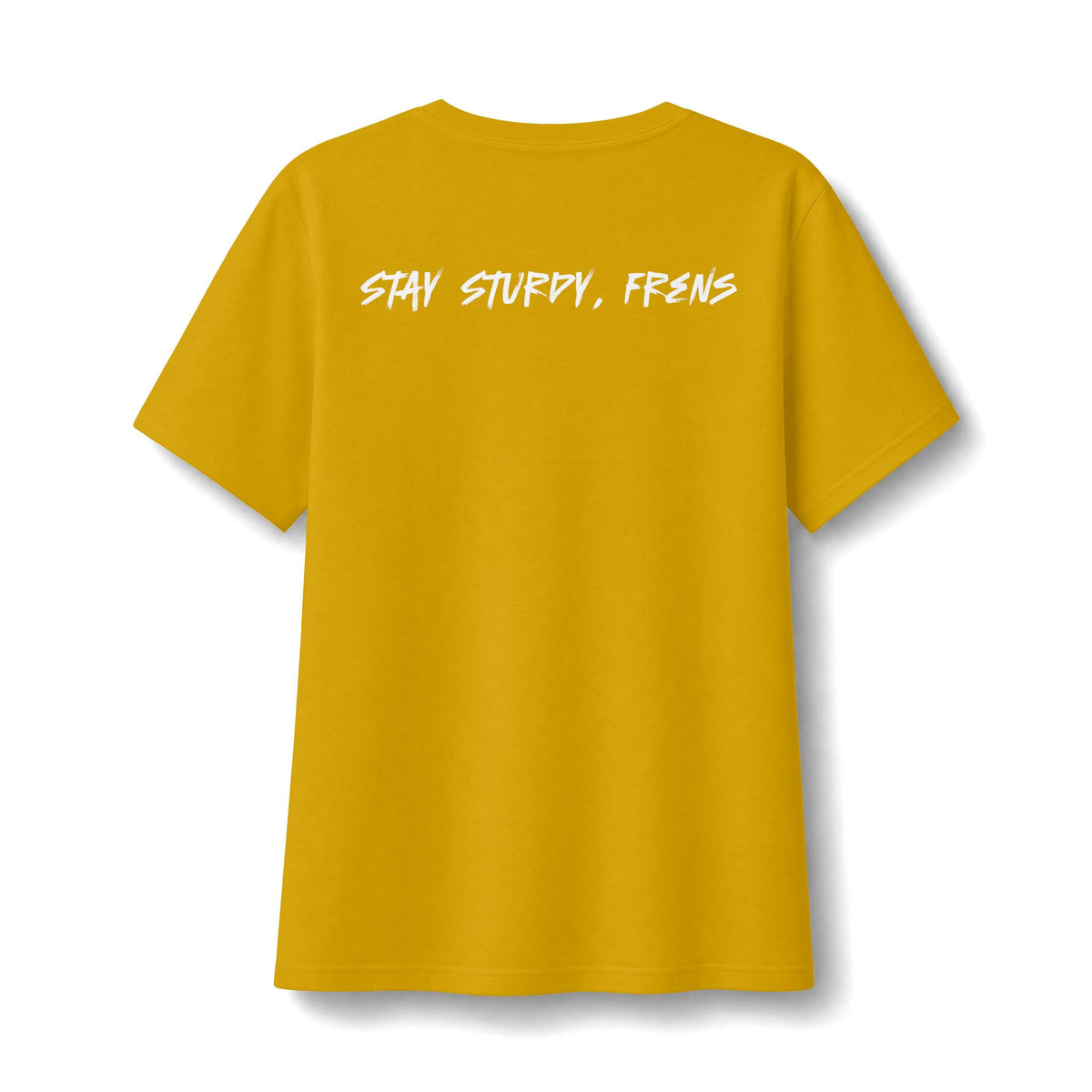 Stay Sturdy, Frens Crest Women's Relaxed V-Neck Tee