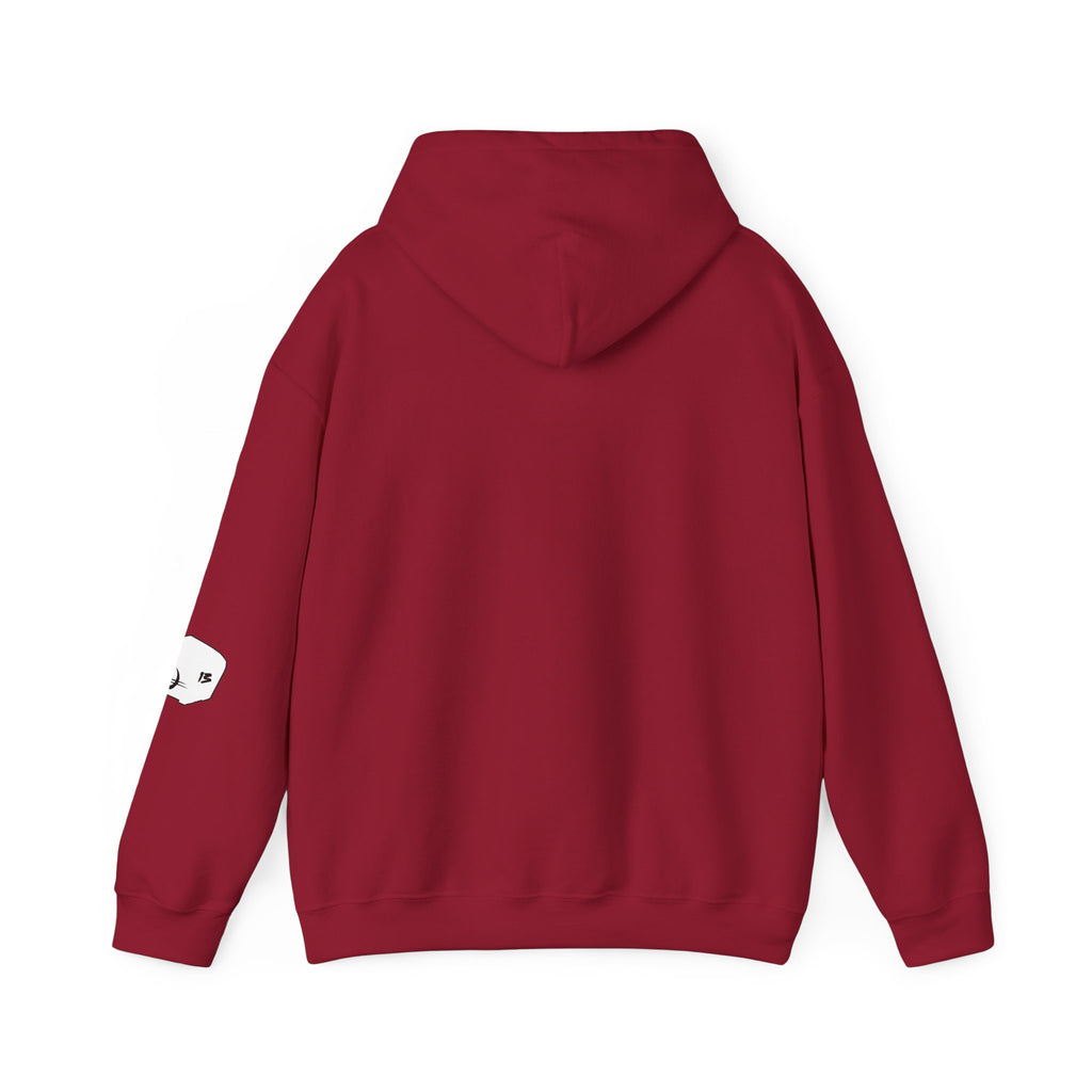I Survived Loot Box 13 Hoodie - Colors