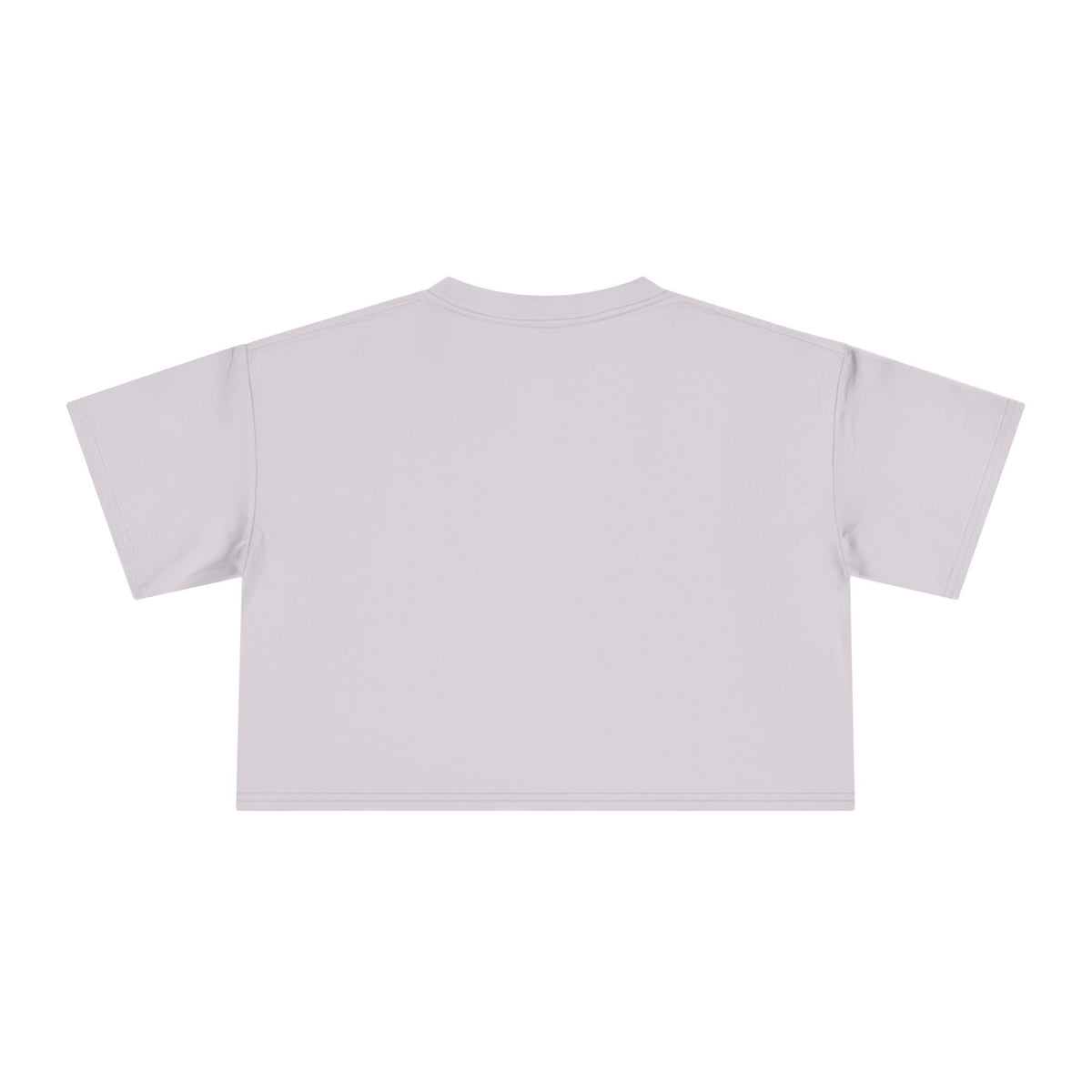 I Like My Ship Captains Morally Grey Crop Tee