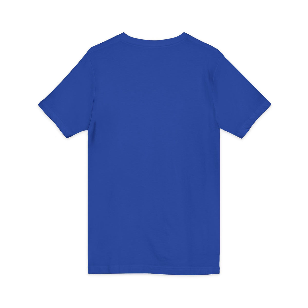 I Like My Ship Captains Morally Grey V-Neck Tee