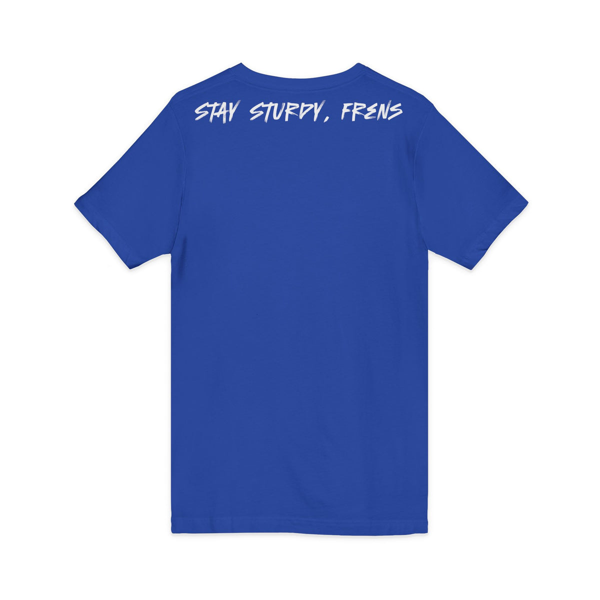 Stay Sturdy, Frens Crest V-Neck Tee