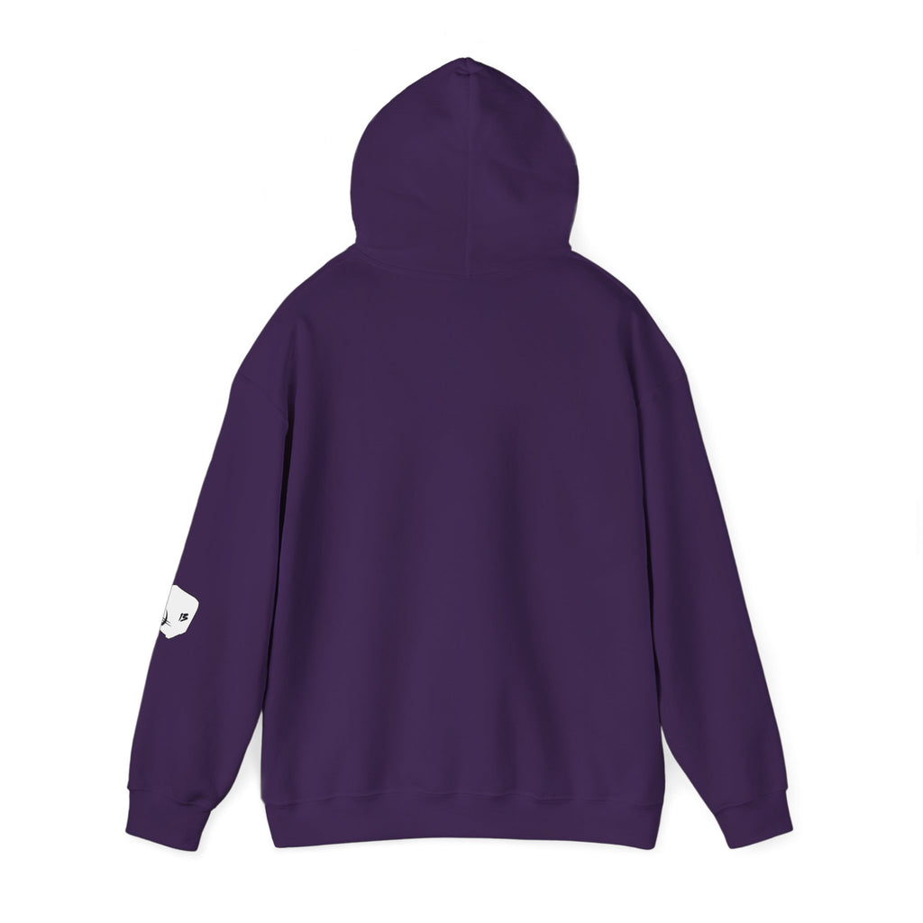I Survived Loot Box 13 Hoodie - Colors